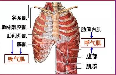 &#20048;&#40060;&#119;&#101;&#98;&#29256;&#30331;&#24405;&#20837;&#21475;&#45;&#20048;&#40060;&#111;&#110;&#108;&#105;&#110;&#101;&#40;&#20013;&#22269;&#41;