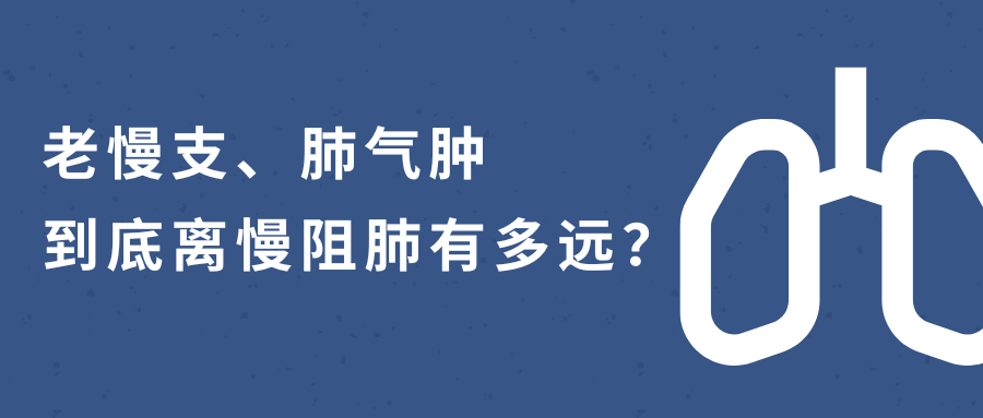 &#20048;&#40060;&#119;&#101;&#98;&#29256;&#30331;&#24405;&#20837;&#21475;&#45;&#20048;&#40060;&#111;&#110;&#108;&#105;&#110;&#101;&#40;&#20013;&#22269;&#41;