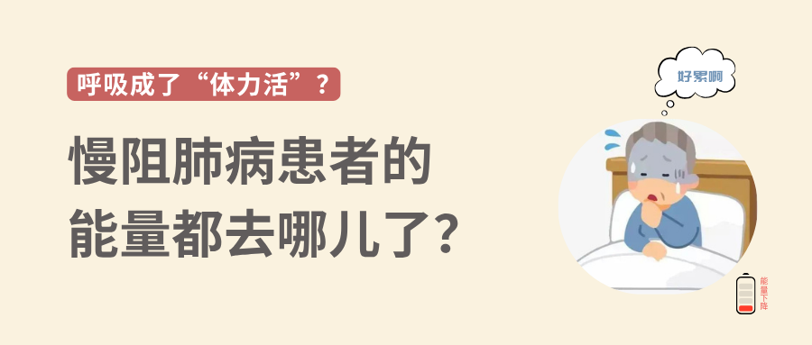 &#20048;&#40060;&#119;&#101;&#98;&#29256;&#30331;&#24405;&#20837;&#21475;&#45;&#20048;&#40060;&#111;&#110;&#108;&#105;&#110;&#101;&#40;&#20013;&#22269;&#41;
